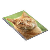 Carnet Portrait orange mignon de chat (Côté Droit)