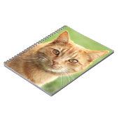 Carnet Portrait orange mignon de chat (Côté gauche)