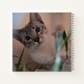 Carnet Portrait photo de chat (Dos)