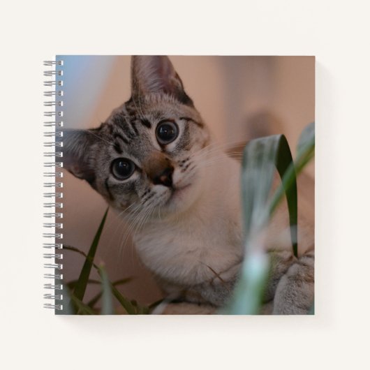 Carnet Portrait photo de chat (Devant)