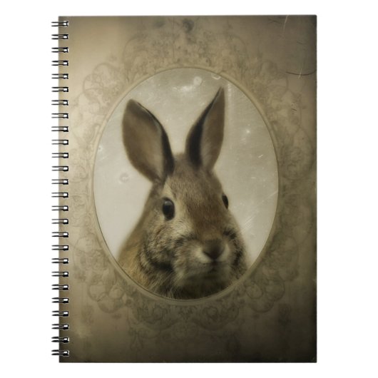 Carnet Portrait vintage Bunny (Devant)
