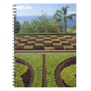 Carnet Portugal, île de Madère, Funchal. Botanique