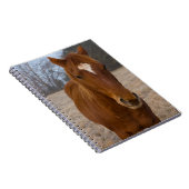 Carnet Pose de cheval (Côté Droit)