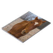 Carnet Pose de cheval (Côté gauche)