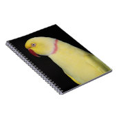 Carnet Pose de perruche de Ringneck d'Indien de Lutino (Côté Droit)