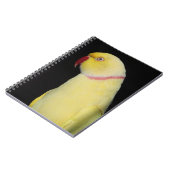 Carnet Pose de perruche de Ringneck d'Indien de Lutino (Côté gauche)