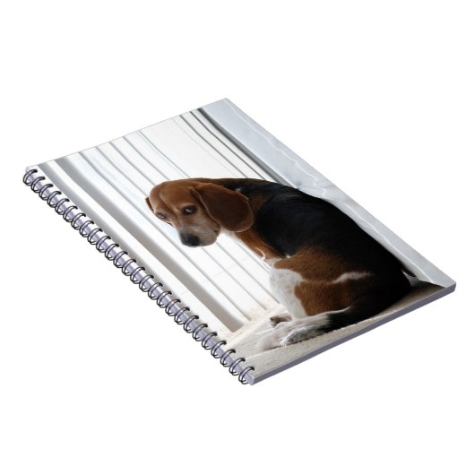 Carnet Position (Côté Droit)