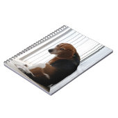 Carnet Position (Côté gauche)