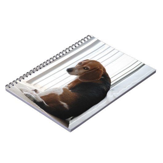 Carnet Position (Côté gauche)