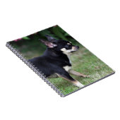 Carnet Position aux cheveux courts de chiwawa (Côté Droit)