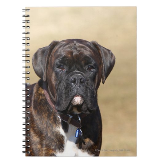 Carnet Position Brindle de chien de boxeur (Devant)