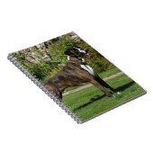 Carnet Position Brindle d'exposition canine de boxeur (Côté Droit)