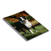 Carnet Position d'automne de border collie (Côté Droit)