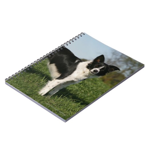 Carnet Position de border collie (Côté gauche)