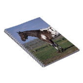 Carnet Position de cheval d'Appaloosa (Côté Droit)