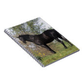 Carnet Position de cheval de pur sang (Côté Droit)