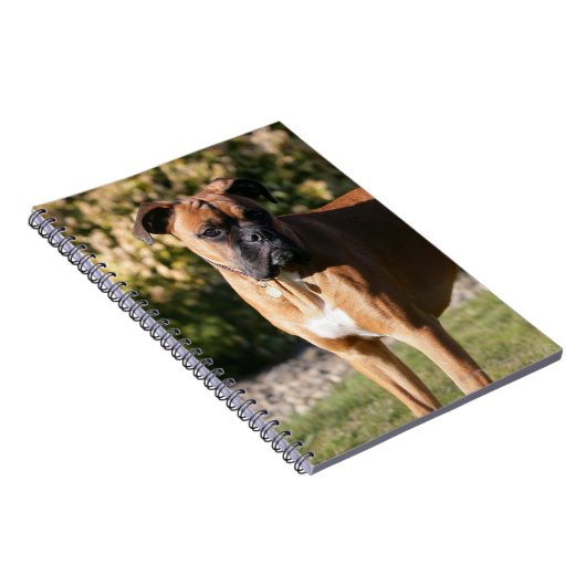 Carnet Position de chien de boxeur de faon (Côté Droit)