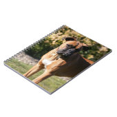 Carnet Position de chien de boxeur de faon (Côté gauche)