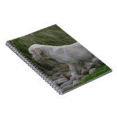 Carnet Position de chiot de golden retriever (Côté Droit)