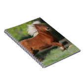 Carnet Position miniature de cheval (Côté Droit)