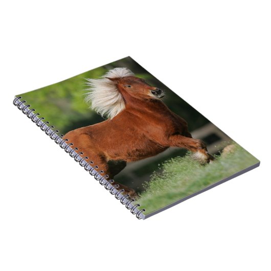 Carnet Position miniature de cheval (Côté Droit)