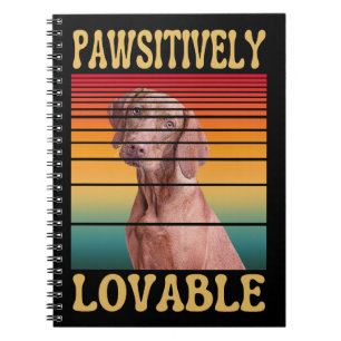 CARNET POSITIVEMENT MIGNON