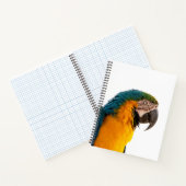 Carnet Post-it Notes perroquet (Intérieur)