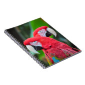Carnet Poster coloré de perroquets de macaw (Côté Droit)
