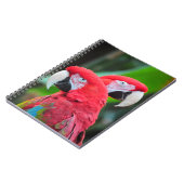 Carnet Poster coloré de perroquets de macaw (Côté gauche)