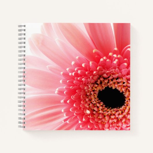 Carnet Poster Gerbera Daisy (Devant)
