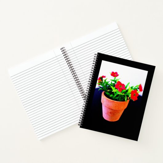 Carnet Pot de fleurs (Intérieur)