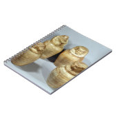 Carnet Pots de Canopic de Hor-IR-aa, Saite (albâtre) (Côté gauche)