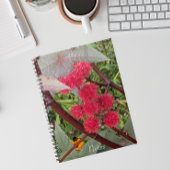 Carnet Pots Plantes Red Castor Bean