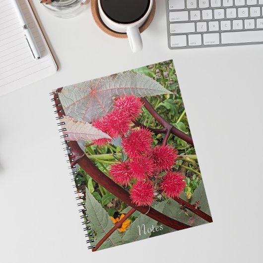 Carnet Pots Plantes Red Castor Bean
