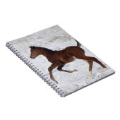 Carnet Poulain arabe dans la neige (Côté Droit)