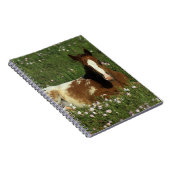 Carnet Poulain d'Appaloosa fixant en fleurs (Côté Droit)