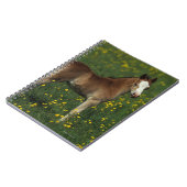 Carnet Poulain de Gallois (Côté gauche)