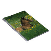 Carnet Poulain fixant en fleurs (Côté Droit)