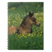 Carnet Poulain fixant en fleurs (Devant)