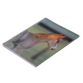 Carnet Poulain quart de cheval (Côté gauche)