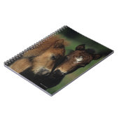 Carnet Poulains 2 de miniature (Côté gauche)