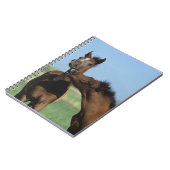 Carnet Poulains jouant 2 (Côté gauche)