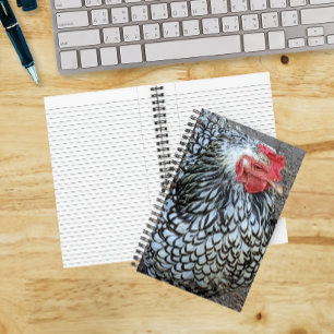 Carnet Poule Barred Plymouth Rock