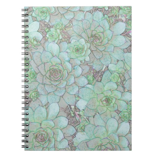Carnet Poules et pousses (Devant)