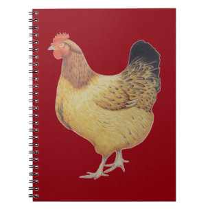 Carnet Poulet 2012
