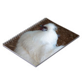 Carnet Poulet blanc de Silkie (Côté gauche)