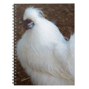 Carnet Poulet blanc de Silkie