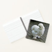 Carnet Poulet blanc Silkie Photo (Intérieur)