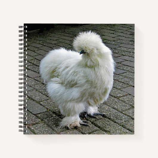 Carnet Poulet blanc Silkie Photo (Devant)