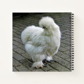 Carnet Poulet blanc Silkie Photo (Dos)